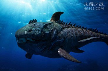 海洋生物学家澄清公众对鲨鱼的普遍误解174 / 作者:UFO爱好者 / 帖子ID:68021
