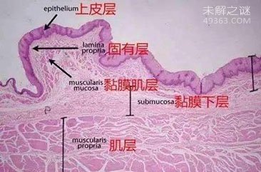 人体自救九大奇招234 / 作者:UFO爱好者 / 帖子ID:68019