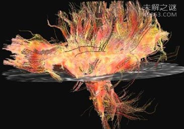 人体自救九大奇招268 / 作者:UFO爱好者 / 帖子ID:68019