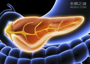 人体自救九大奇招107 / 作者:UFO爱好者 / 帖子ID:68019