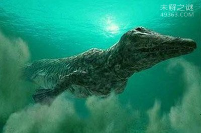 恐龙灭绝未解之谜：性欲低导致绝种23 / 作者:UFO爱好者 / 帖子ID:72163