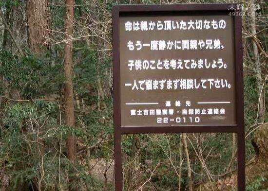 日本自杀森林,为什么都选择在这里结束生命？477 / 作者:UFO爱好者 / 帖子ID:71983