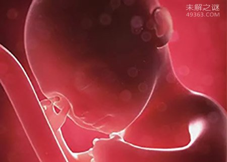 最伟大的未解之谜：生命是怎样出现的？900 / 作者:UFO爱好者 / 帖子ID:71982