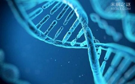 最伟大的未解之谜：生命是怎样出现的？862 / 作者:UFO爱好者 / 帖子ID:71982