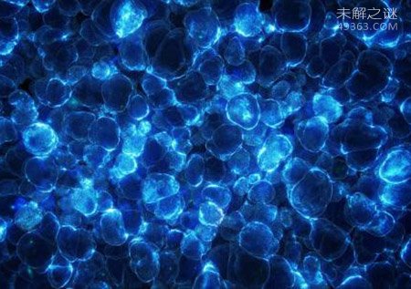 最伟大的未解之谜：生命是怎样出现的？568 / 作者:UFO爱好者 / 帖子ID:71982