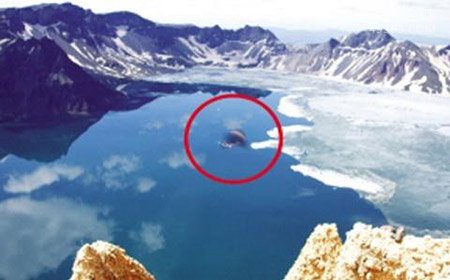 世界十大水怪谜团,尼斯湖怪兽之谜如同滚雪球573 / 作者:UFO爱好者 / 帖子ID:71805 世界十大水怪谜团,尼斯湖怪兽之谜如同滚雪球573 / 作者:UFO爱好者 / 帖子ID:71805