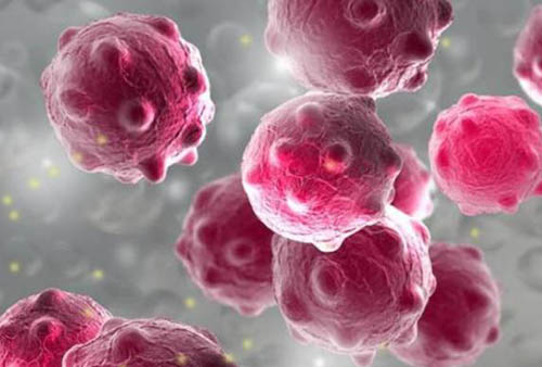 科学实验首次见证艾滋病病毒诞生过程932 / 作者:UFO爱好者 / 帖子ID:67533