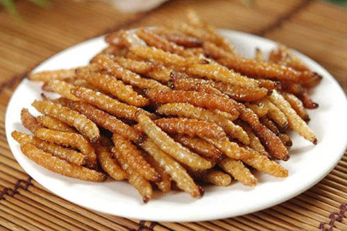 恐怖竹虫：西双版纳人的美味佳肴89 / 作者:UFO爱好者 / 帖子ID:74412