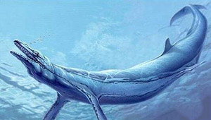 龙王鲸才是海洋霸主，灭绝的远古海洋巨兽766 / 作者:UFO爱好者 / 帖子ID:73932