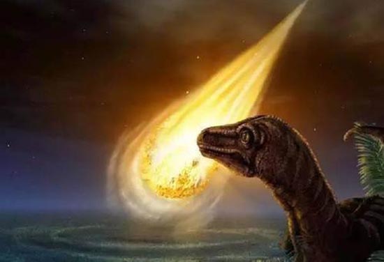 如果人类离开地球，谁能代替人类成为主导地球的物种667 / 作者:UFO爱好者 / 帖子ID:70904