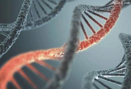 科学技术可确定某个特定的遗传序列源于母亲还是父亲225 / 作者:UFO爱好者 / 帖子ID:67062