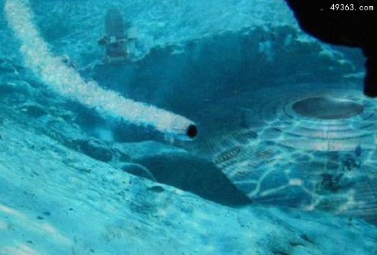 墨西哥湾出现史无前例死亡地带未解之谜605 / 作者:UFO爱好者 / 帖子ID:67013