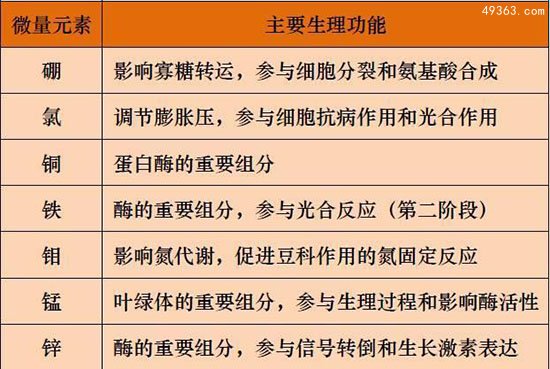 什么食物含有微量元素多？微量元素有哪些?922 / 作者:UFO爱好者 / 帖子ID:66924