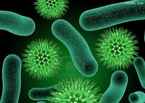 科学家发现存活达12万年的超长寿细菌391 / 作者:UFO爱好者 / 帖子ID:66956