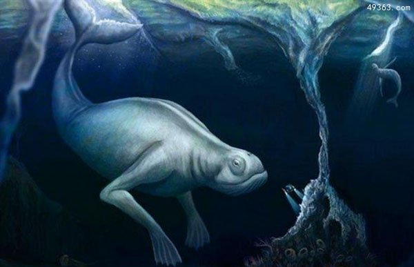 美国拍到神秘怪物视频疑似大脚怪948 / 作者:UFO爱好者 / 帖子ID:66922
