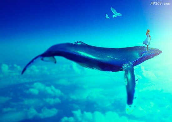 蓝鲸惨死漂浮海面可能被船撞死，蓝鲸要灭绝吗?248 / 作者:UFO爱好者 / 帖子ID:66997