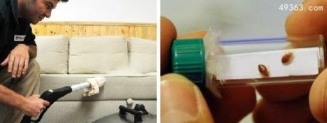 10大可怕“吸血鬼” ：七鳃鳗嘴巴似圆锯756 / 作者:UFO爱好者 / 帖子ID:66955