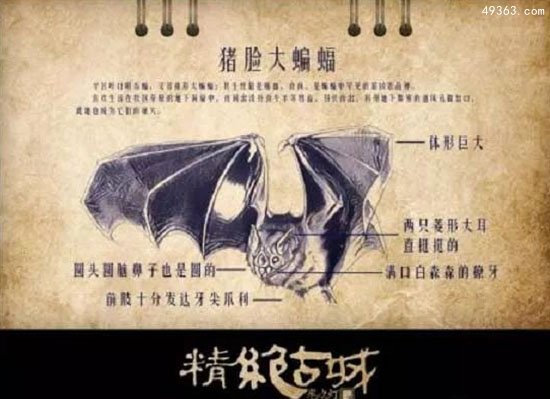 秘鲁军队抓到猪脸大蝙蝠，嗜血食肉凶猛又罕见316 / 作者:UFO爱好者 / 帖子ID:66954