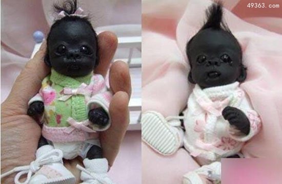 世界唯一白化大猩猩是近亲交配，死于皮肤癌844 / 作者:UFO爱好者 / 帖子ID:66865