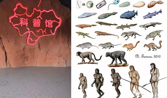火星或是人类生命种子起源地 神秘矿物开启生命进程940 / 作者:UFO爱好者 / 帖子ID:85517