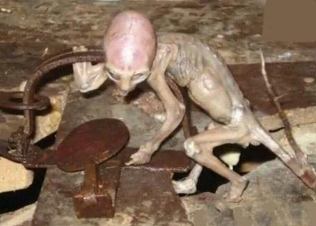 至今无解的十二大千古之谜597 / 作者:UFO爱好者 / 帖子ID:86048