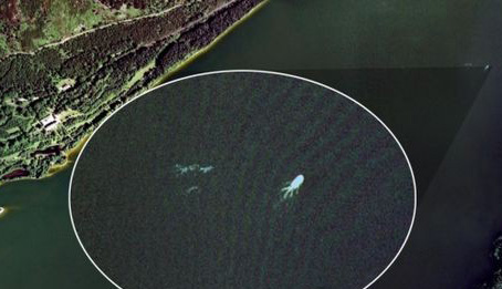 全球神秘水怪盘点,西伯利亚惊绒毛巨兽是猛犸象吗？569 / 作者:UFO爱好者 / 帖子ID:69607
