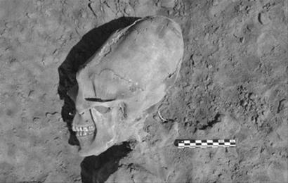 墨西哥惊现距今已有1000年“外星人头骨”586 / 作者:UFO爱好者 / 帖子ID:88278 墨西哥惊现距今已有1000年“外星人头骨”586 / 作者:UFO爱好者 / 帖子ID:88278