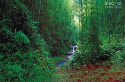 揭密中国“魔鬼三角洲”黑竹沟6大未解谜团729 / 作者:UFO爱好者 / 帖子ID:76297