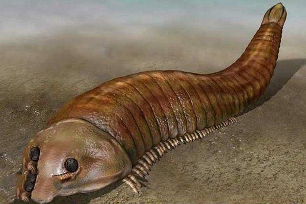 寒武纪十大恐怖生物，怪诞虫竟是霍式不死虫的“亲戚”367 / 作者:UFO爱好者 / 帖子ID:75712