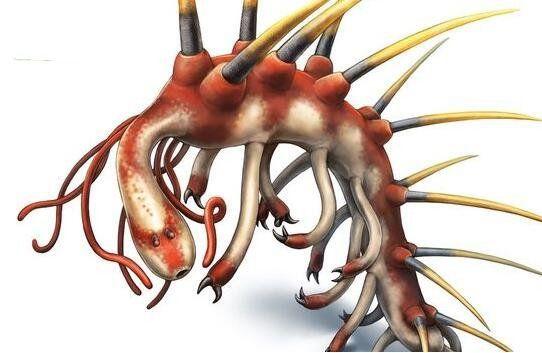 寒武纪十大恐怖生物，怪诞虫竟是霍式不死虫的“亲戚”544 / 作者:UFO爱好者 / 帖子ID:75712