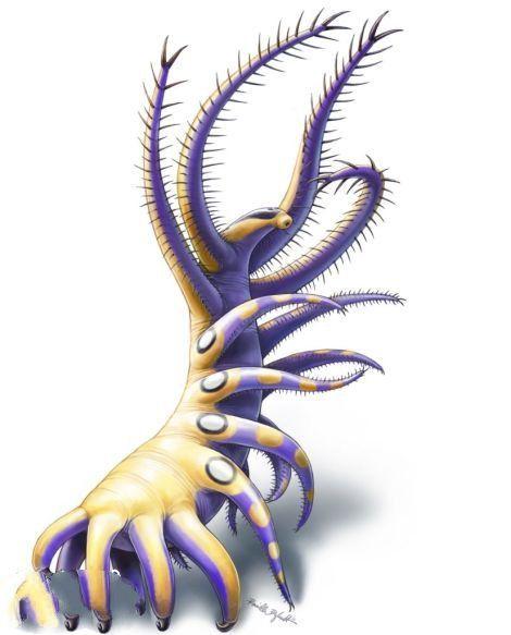 寒武纪十大恐怖生物，怪诞虫竟是霍式不死虫的“亲戚”901 / 作者:UFO爱好者 / 帖子ID:75712