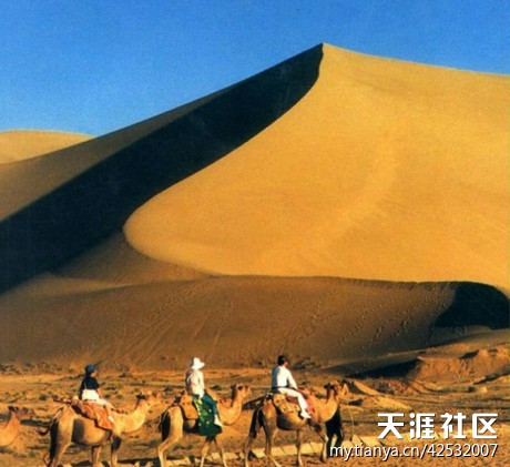 999个世界未解之谜(8)701-789谜700 / 作者:UFO爱好者 / 帖子ID:83400 999个世界未解之谜(8)701-789谜700 / 作者:UFO爱好者 / 帖子ID:83400