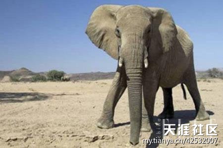 999个世界未解之谜(8)701-789谜936 / 作者:UFO爱好者 / 帖子ID:83400 999个世界未解之谜(8)701-789谜936 / 作者:UFO爱好者 / 帖子ID:83400