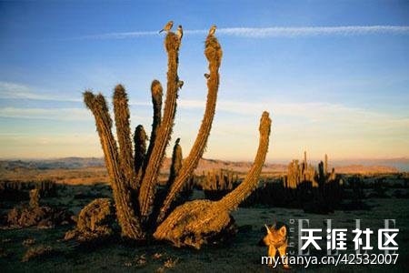 999个世界未解之谜(8)701-789谜203 / 作者:UFO爱好者 / 帖子ID:83400 999个世界未解之谜(8)701-789谜203 / 作者:UFO爱好者 / 帖子ID:83400