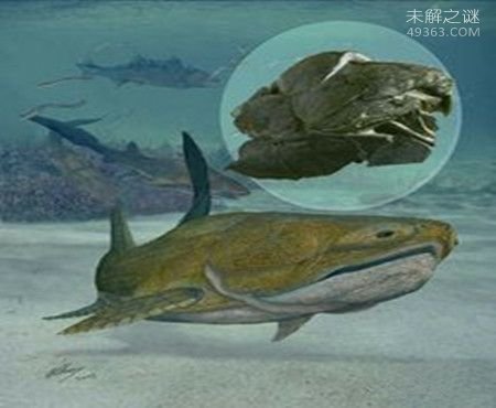 奥古布古：一种来自远古的生物“水中的恶魔”343 / 作者:UFO爱好者 / 帖子ID:76977