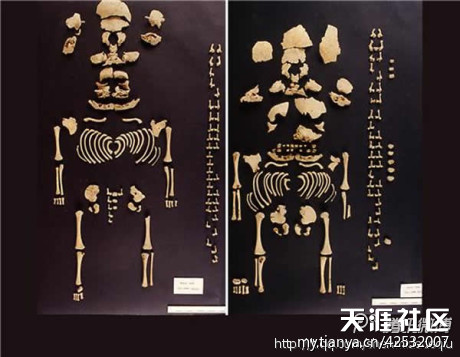 999个世界未解之谜(8)701-789谜30 / 作者:UFO爱好者 / 帖子ID:83400 999个世界未解之谜(8)701-789谜30 / 作者:UFO爱好者 / 帖子ID:83400
