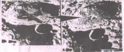 马航MH370神秘消失，十大离奇失踪事件震惊世界895 / 作者:UFO爱好者 / 帖子ID:72703