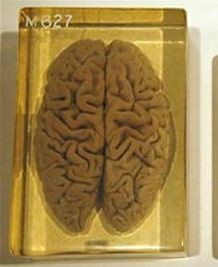 999个世界未解之谜(8)701-789谜25 / 作者:UFO爱好者 / 帖子ID:83400 999个世界未解之谜(8)701-789谜25 / 作者:UFO爱好者 / 帖子ID:83400