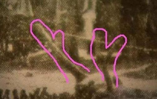历史上是否真的有龙？揭秘1934年营口坠龙事件真相773 / 作者:UFO爱好者 / 帖子ID:78978