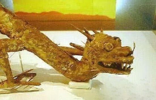 历史上是否真的有龙？揭秘1934年营口坠龙事件真相985 / 作者:UFO爱好者 / 帖子ID:78978