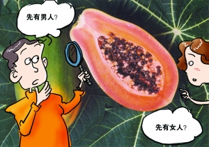 世界上先有男人还是先有女人739 / 作者:UFO爱好者 / 帖子ID:86425 世界上先有男人还是先有女人739 / 作者:UFO爱好者 / 帖子ID:86425