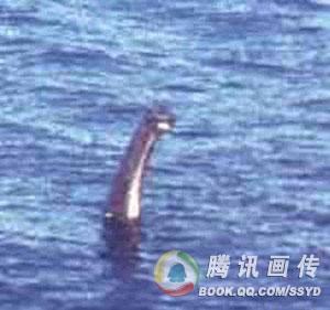 冰岛水怪视频引轰动 世界水怪难解之谜盘点663 / 作者:UFO爱好者 / 帖子ID:85899