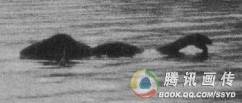 冰岛水怪视频引轰动 世界水怪难解之谜盘点291 / 作者:UFO爱好者 / 帖子ID:85899