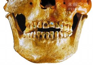 管眼鱼称为“幽灵鱼”的奇特鱼类,为什么那么神秘呢?302 / 作者:UFO爱好者 / 帖子ID:79677
