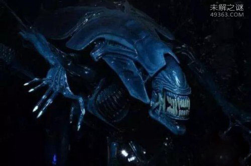 外星文明已经灭亡了?生命该如何传播?193 / 作者:UFO爱好者 / 帖子ID:71088