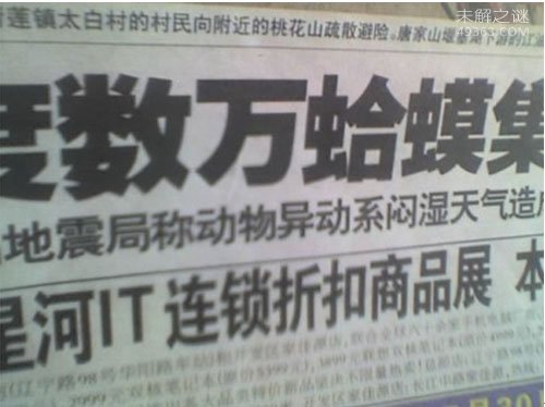 气蛤蟆，全身鼓起来和一个气球一样（不会破裂）798 / 作者:UFO爱好者 / 帖子ID:83603