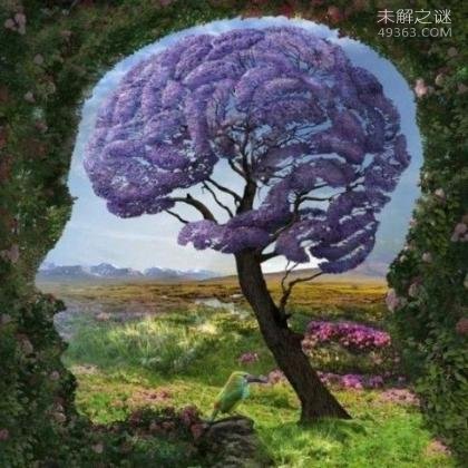 世界上IQ最高的人是谁?人类大脑10大惊天秘密557 / 作者:UFO爱好者 / 帖子ID:76537