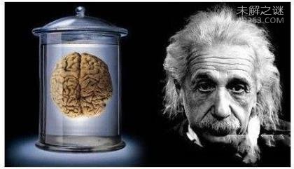 世界上IQ最高的人是谁?人类大脑10大惊天秘密376 / 作者:UFO爱好者 / 帖子ID:76537