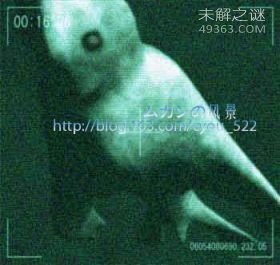 克苏鲁神话怪物，真实存在的终极巨兽958 / 作者:UFO爱好者 / 帖子ID:76177