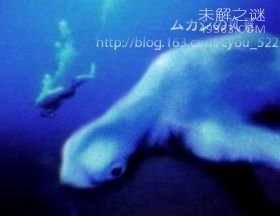 克苏鲁神话怪物，真实存在的终极巨兽490 / 作者:UFO爱好者 / 帖子ID:76177